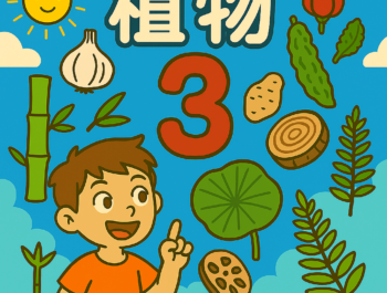 為什麼看大樹的年輪就能知道他幾歲