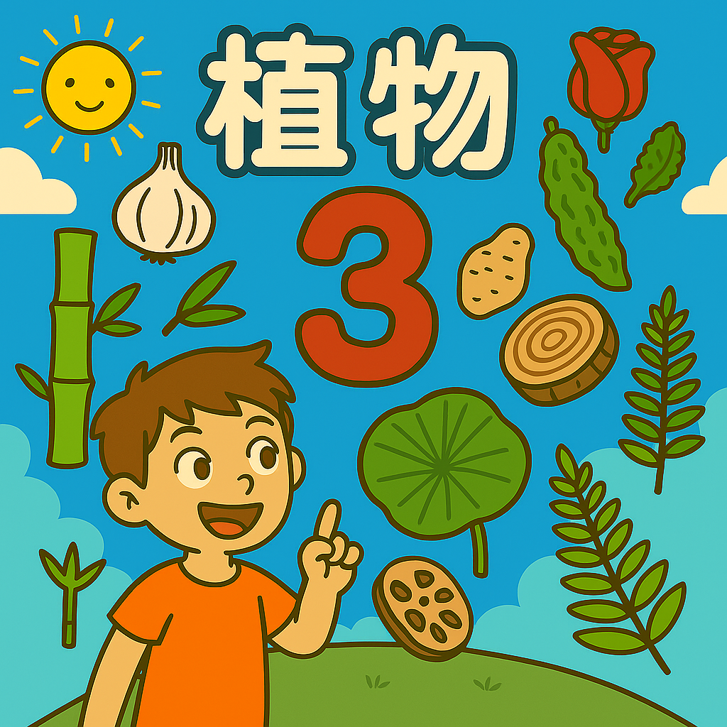 為什麼看大樹的年輪就能知道他幾歲