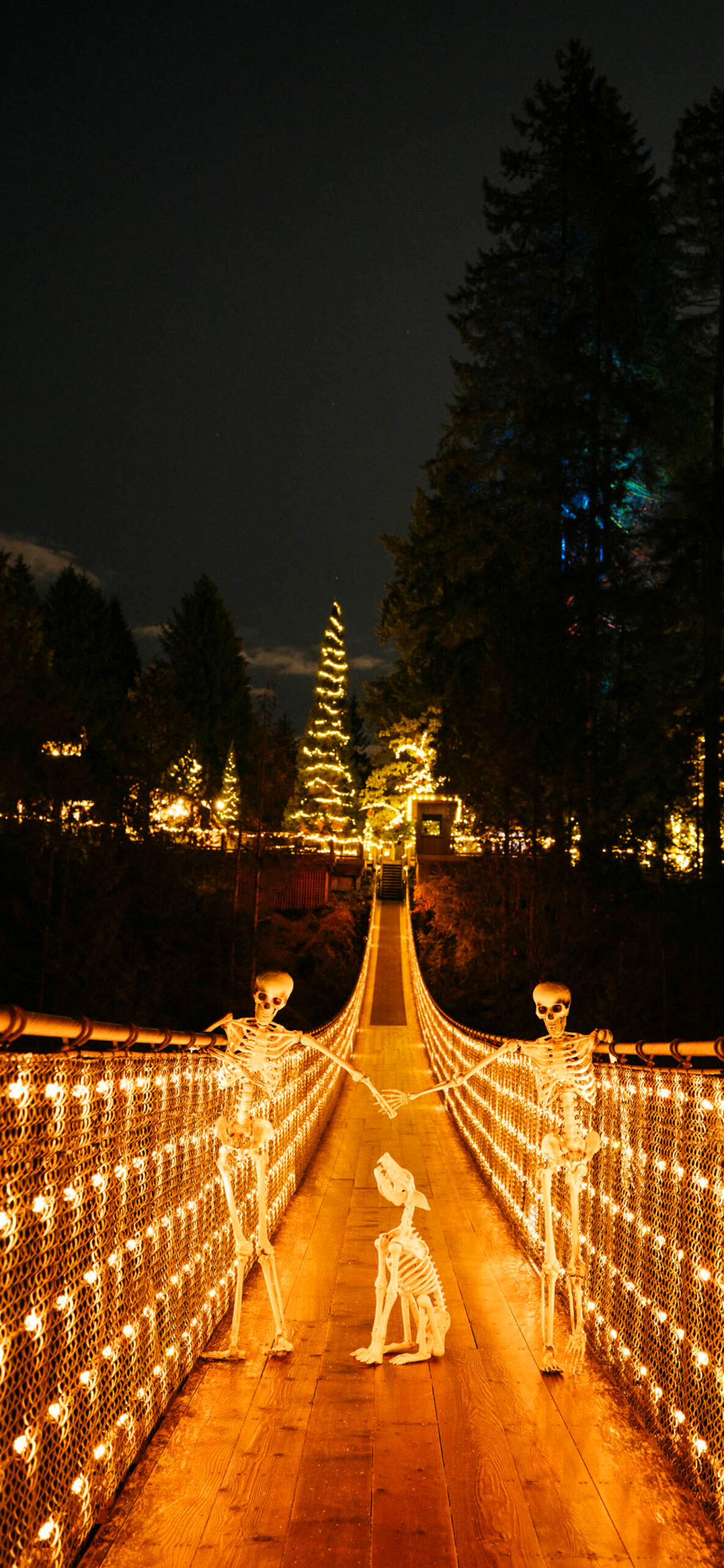 Canyon Frights at Capilano Suspension Bridge Park — photo 1