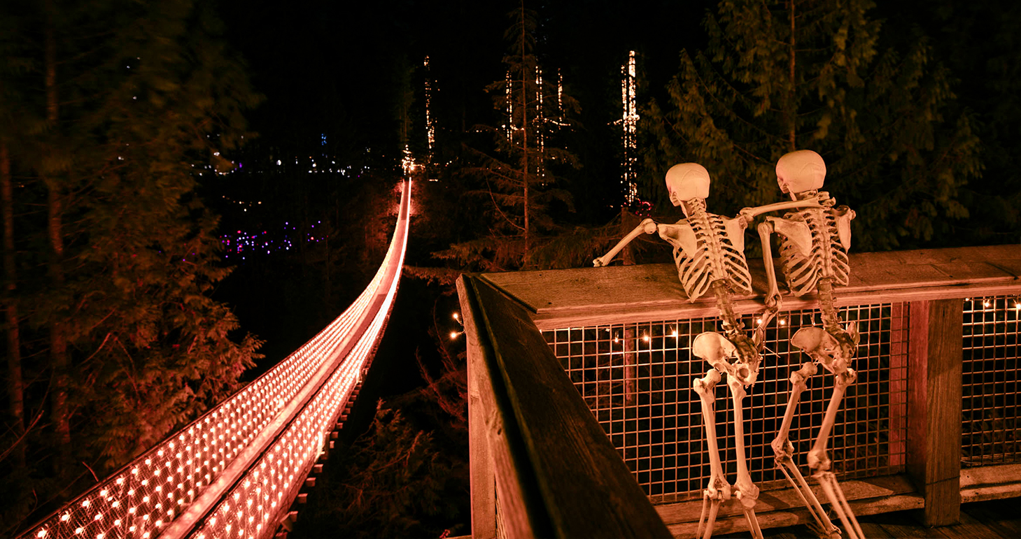 Canyon Frights at Capilano Suspension Bridge Park — photo 2