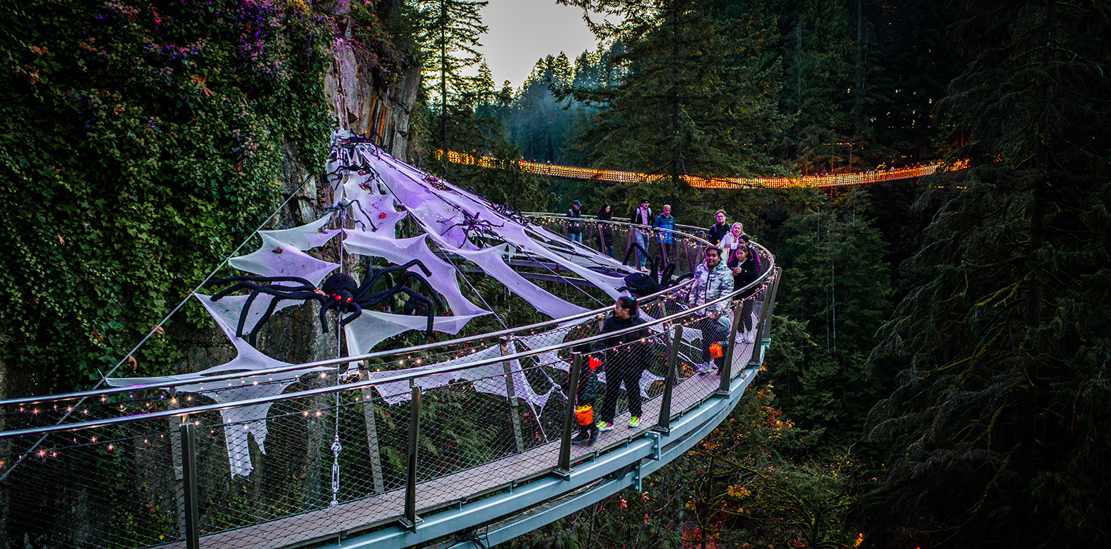 Canyon Frights at Capilano Suspension Bridge Park — photo 5