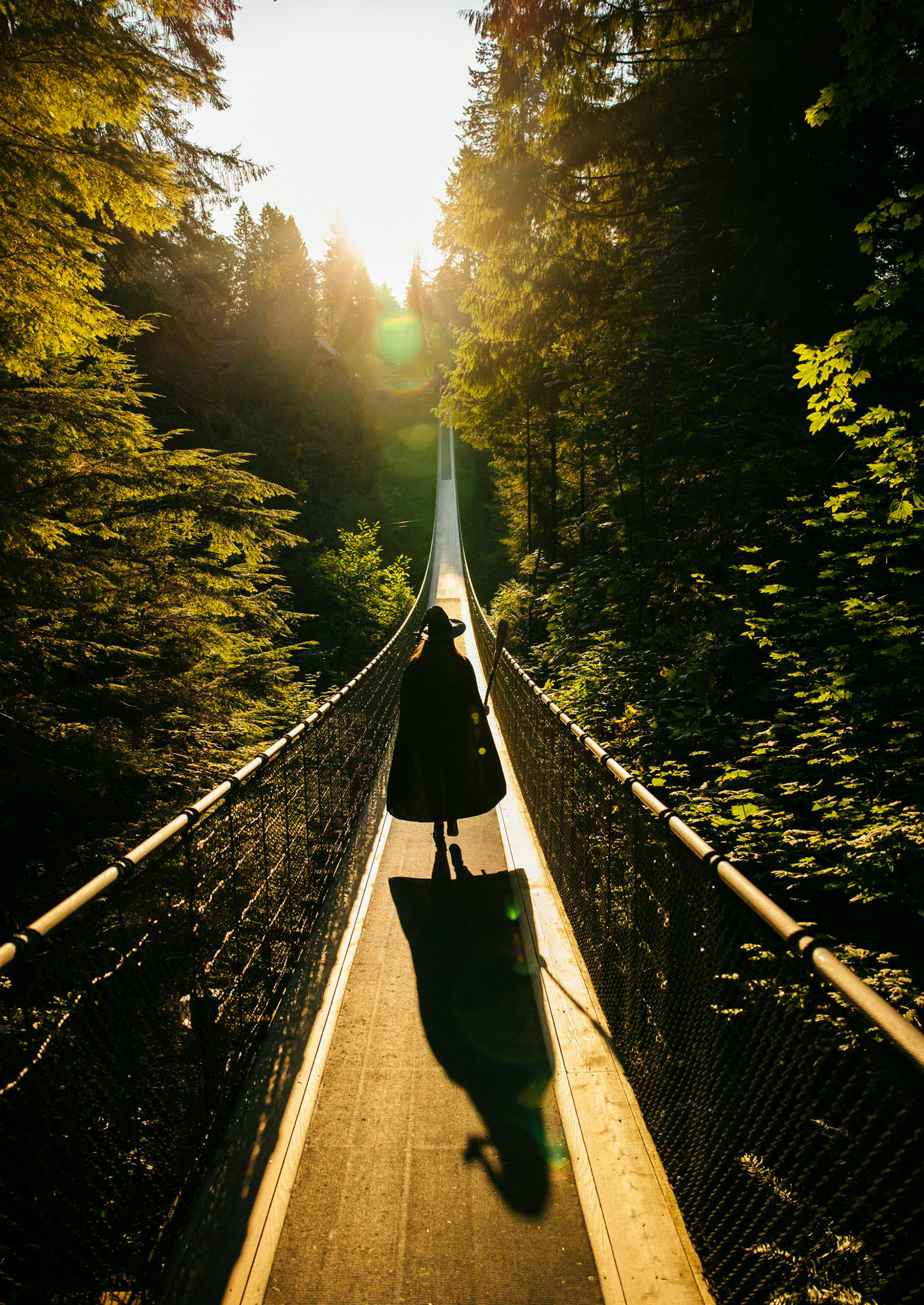 Canyon Frights at Capilano Suspension Bridge Park — photo 7