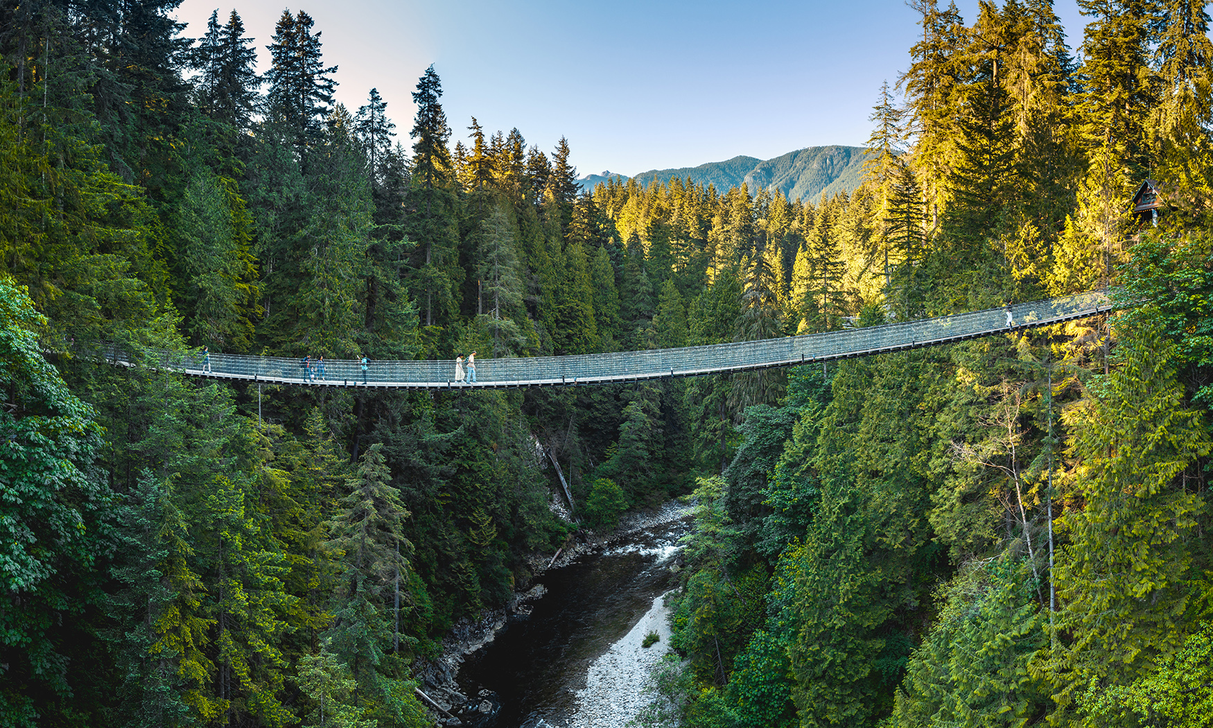 Canyon Frights at Capilano Suspension Bridge Park — photo 9