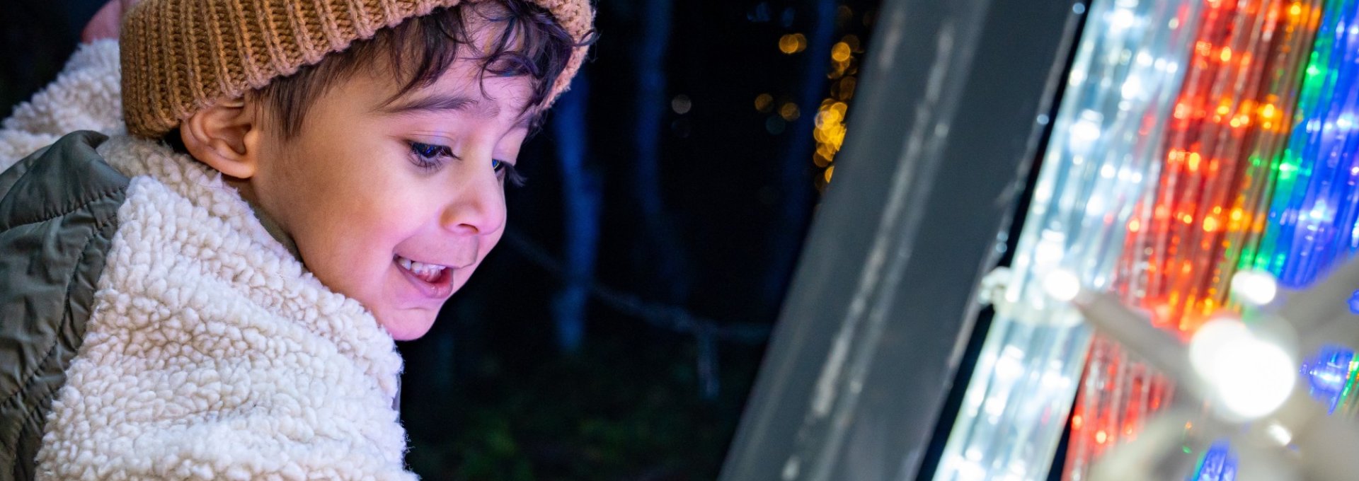 Bear Creek Lights 2026: Free Light Walk in Surrey (Book Your Tickets Now)