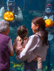Fin-tastic Fall at Vancouver Aquarium 2026 — Underwater Pumpkins, Kelp Maze & Spookley