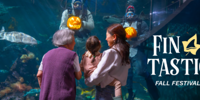 Fin-tastic Fall at Vancouver Aquarium 2026 — Underwater Pumpkins, Kelp Maze & Spookley