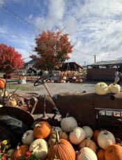 We Got Lost at Greendale Acres: An Honest Family Guide to Chilliwack’s Corn Maze & Pumpkin Patch (2026)