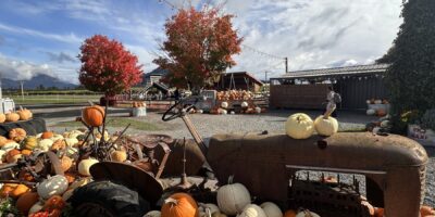 We Got Lost at Greendale Acres: An Honest Family Guide to Chilliwack’s Corn Maze & Pumpkin Patch (2026)