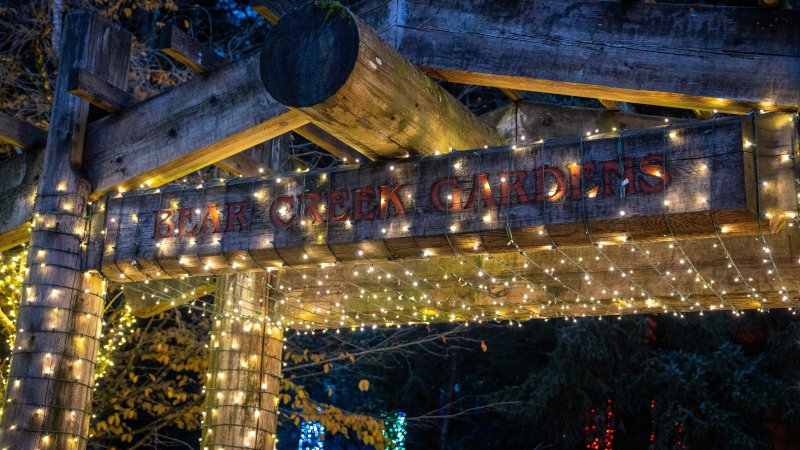 Archway of lights