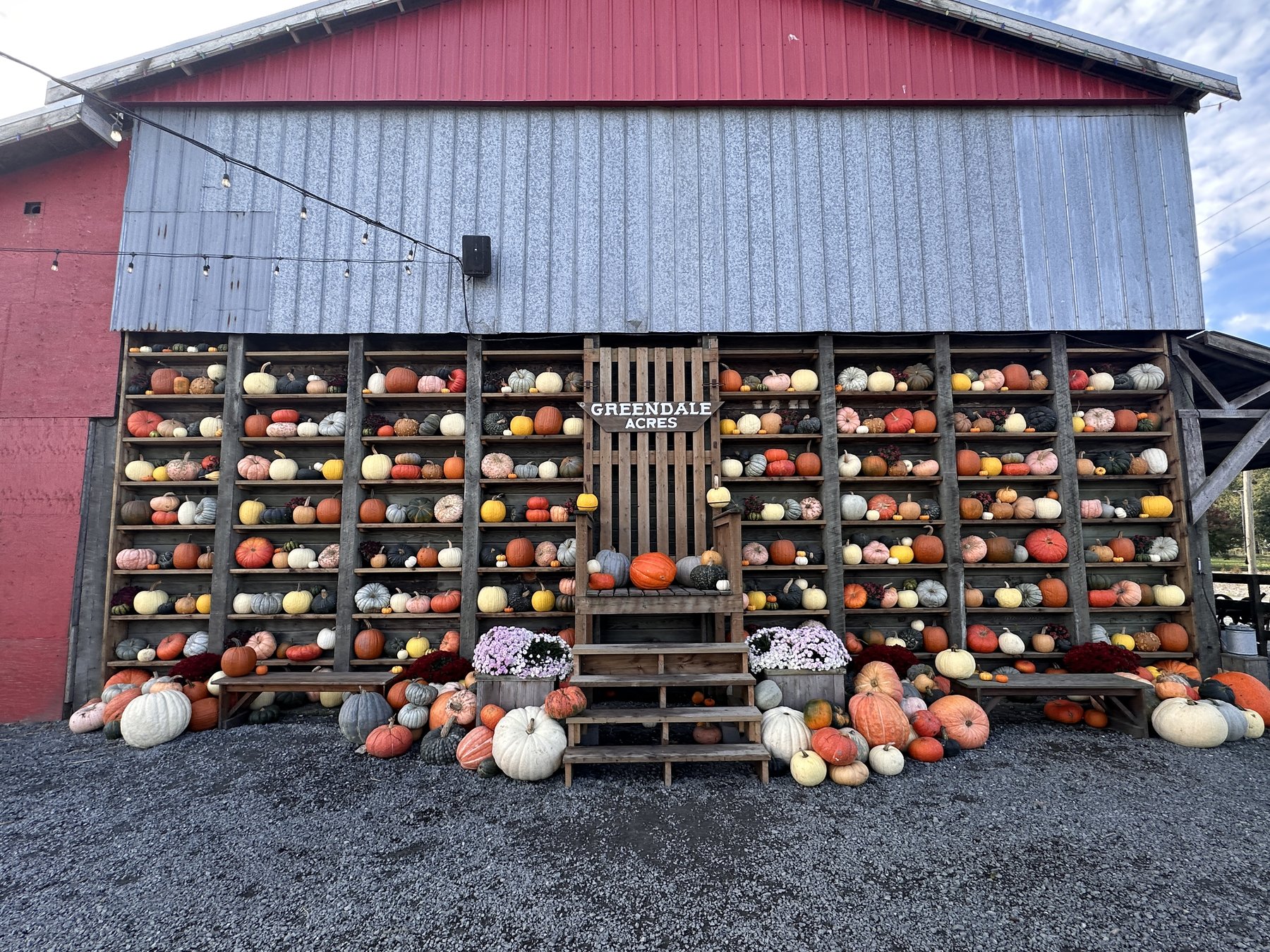 Red barn with a wall of wooden shelves full of heirloom pumpkins and squash