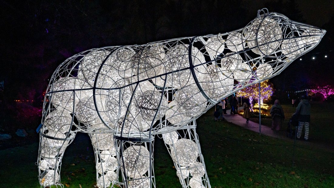 Light display at Bear Creek Lights