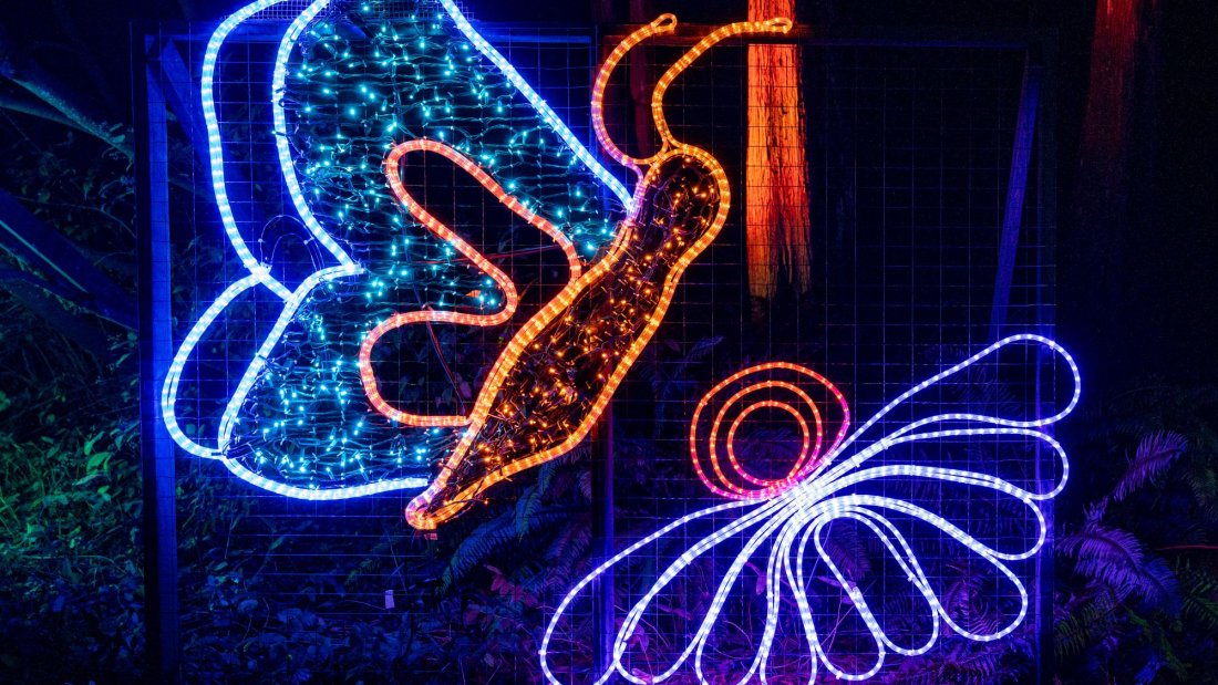 Butterfly frame photo spot