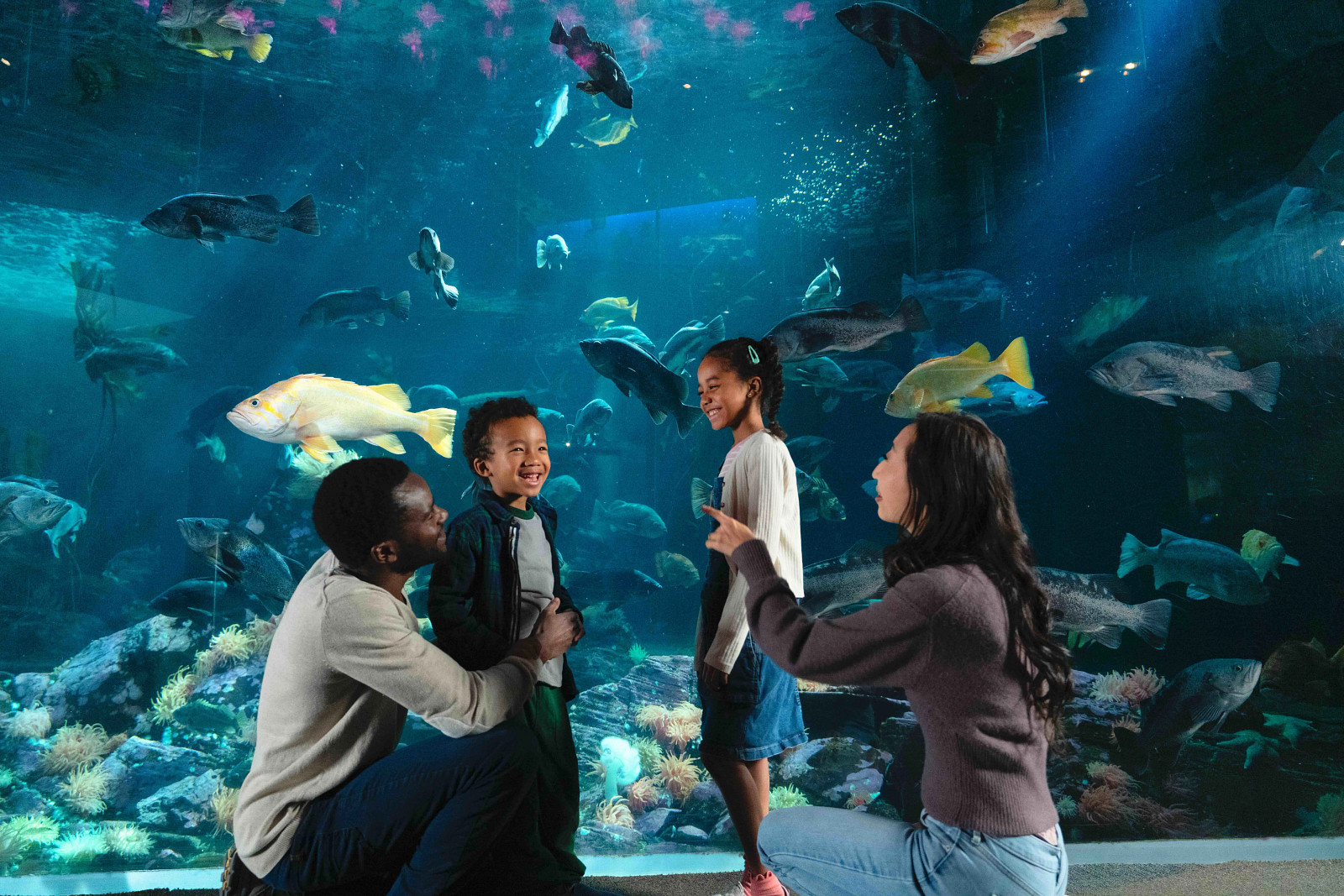 Family of four smiling in front of a large blue fish tank