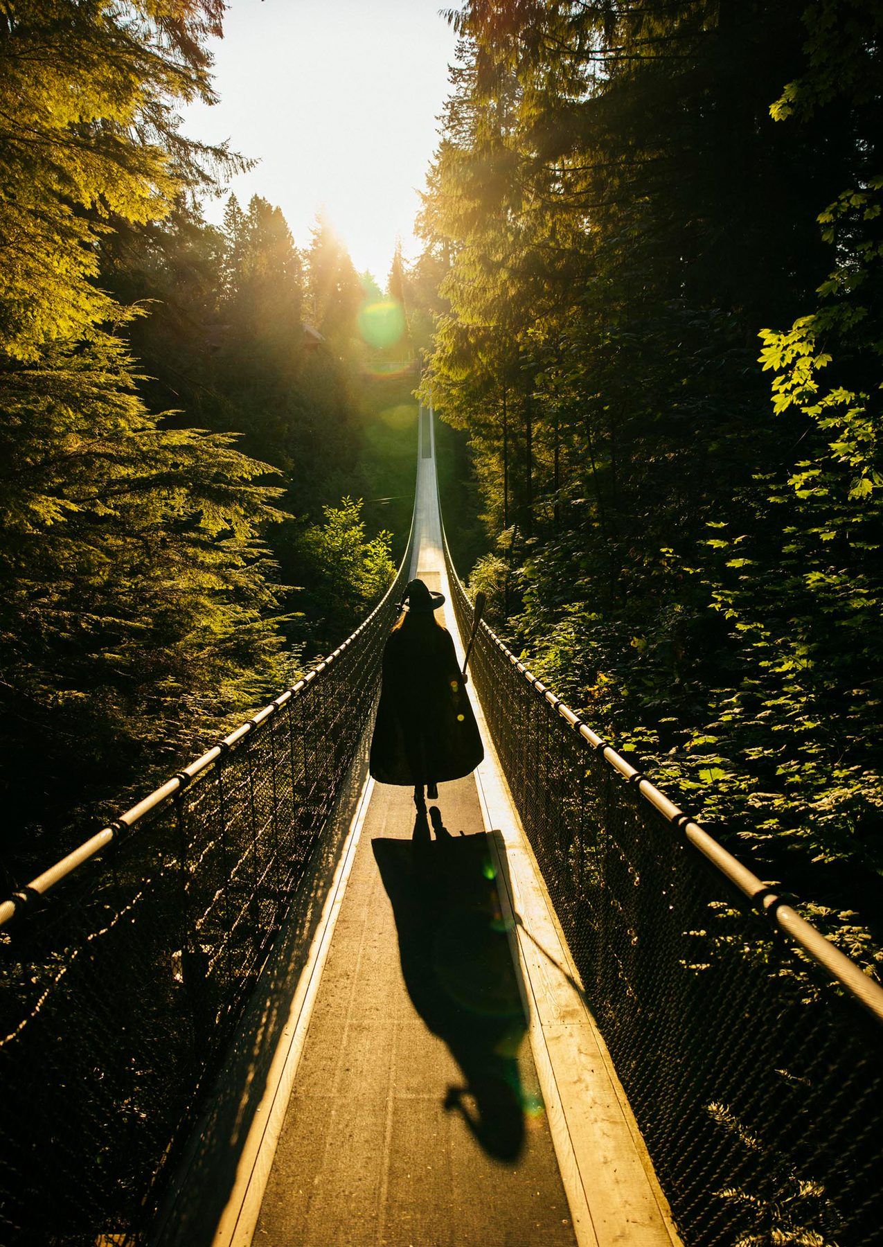 Canyon Frights at Capilano Suspension Bridge Park — photo 7