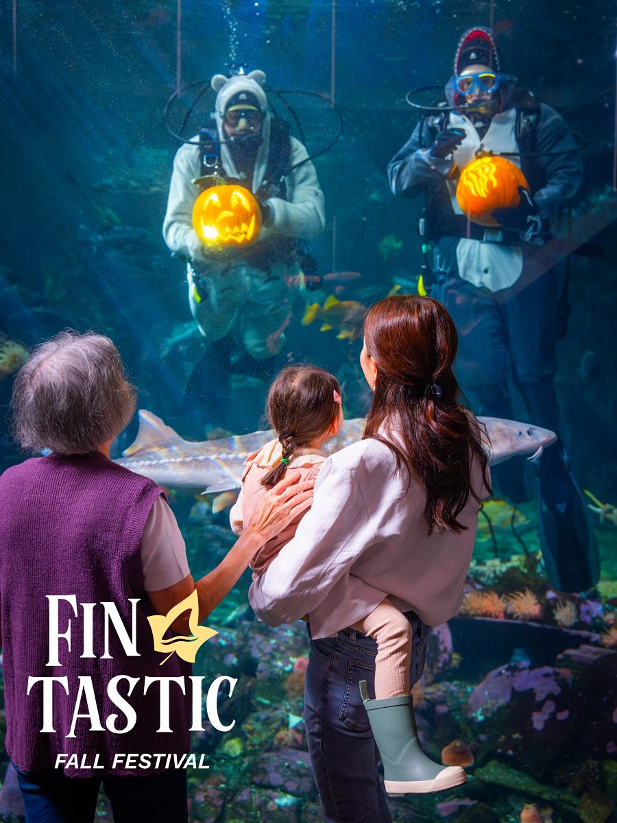 Fin-tastic Fall Festival mobile hero graphic