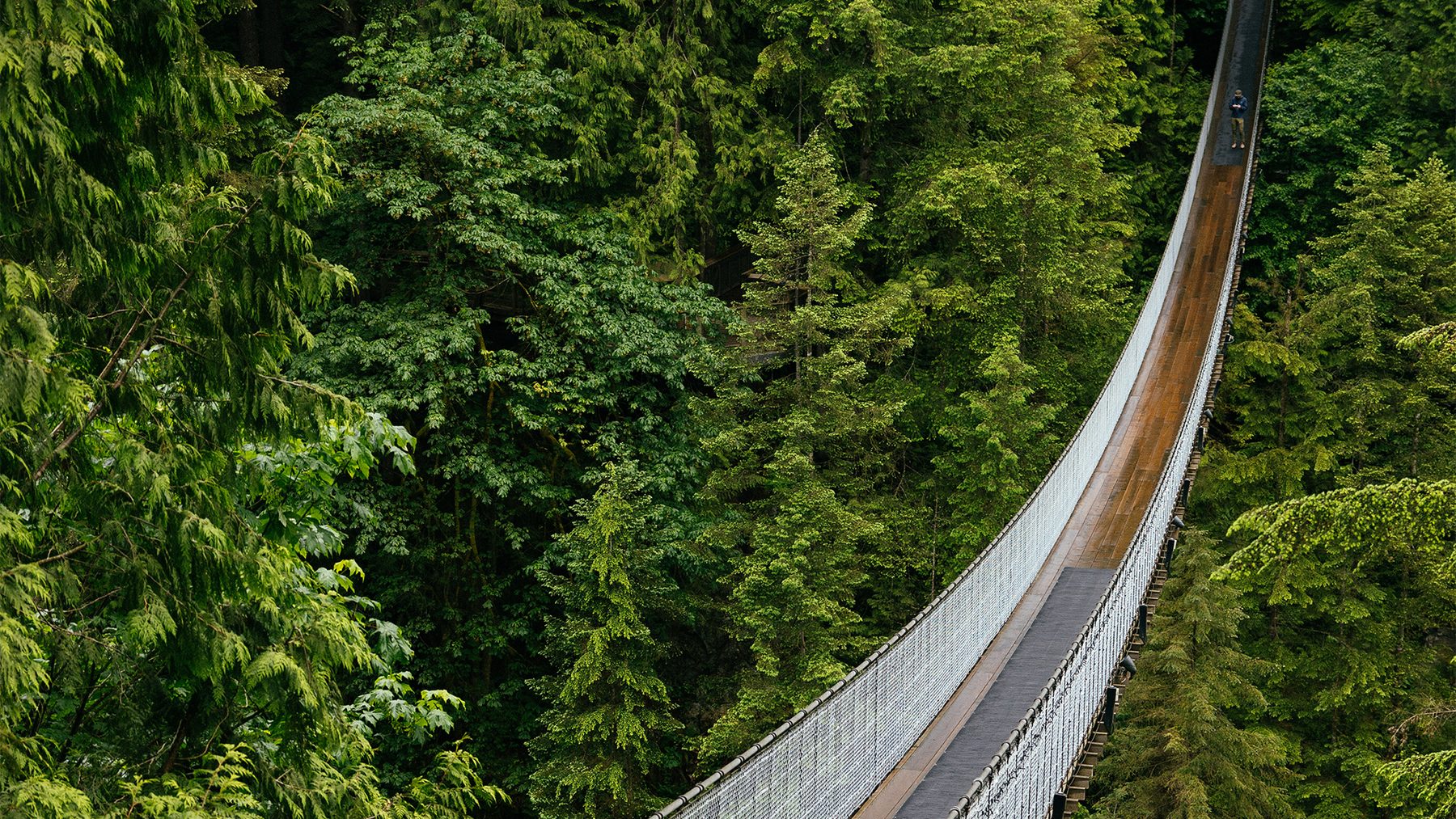 Canyon Frights at Capilano Suspension Bridge Park — photo 8