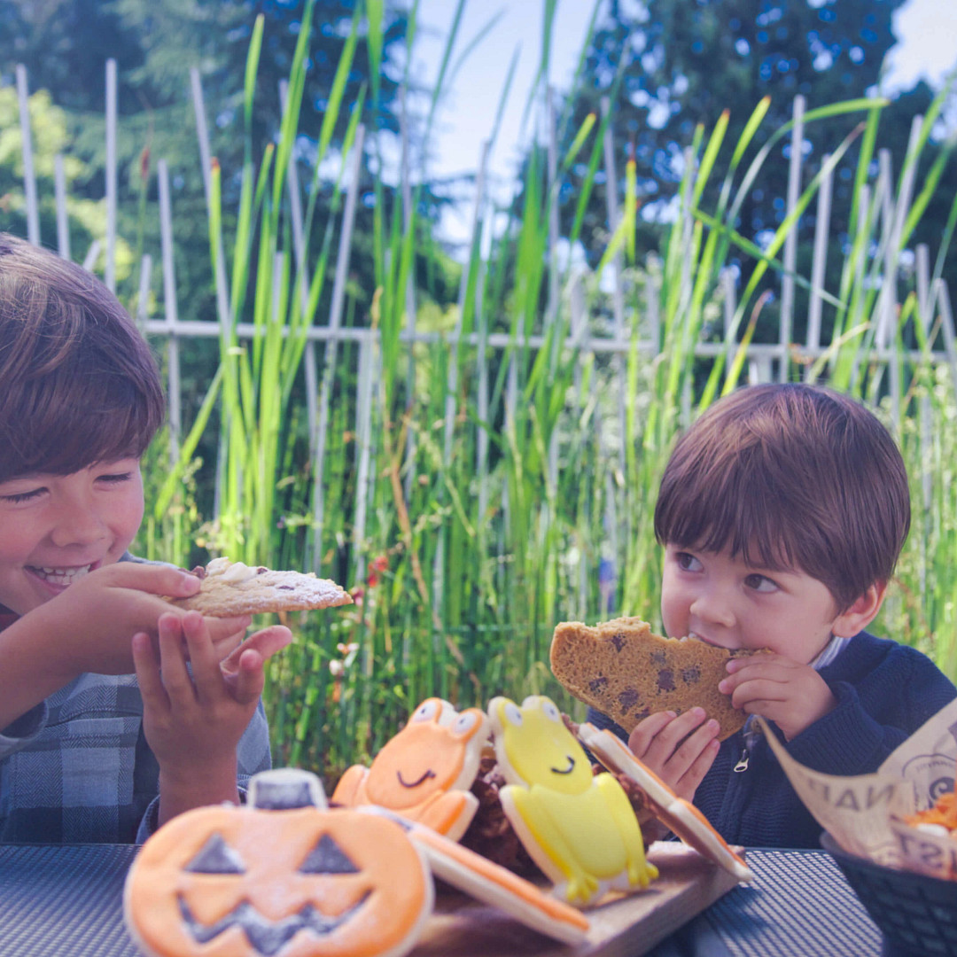 Two young boys with Halloween-themed cookies at Fin-tastic Fall Days