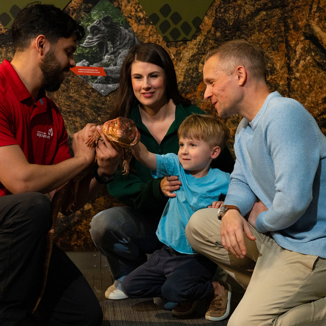 Staff shows a large lizard to a family with a young boy