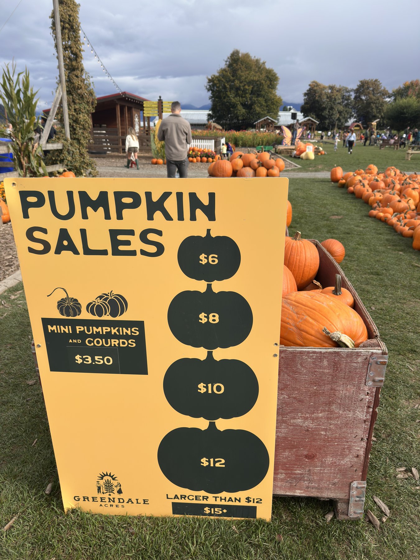 Yellow "Pumpkin Sales" sign: mini pumpkins and gourds $3.50, pumpkins $6–$12, larger $15+
