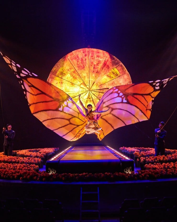 Butterfly-wing costume on stage in LUZIA