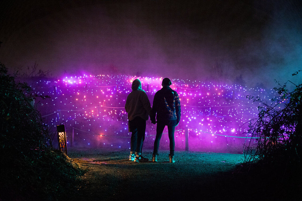 Visitors in front of a purple light field at an earlier Astra Lumina edition